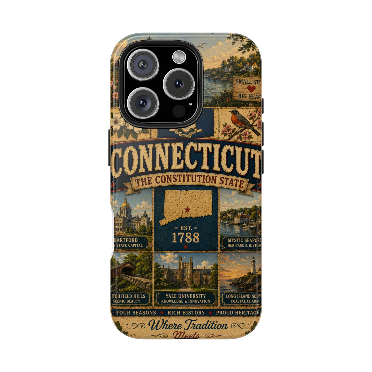 Connecticut Constitution State Faux Patchwork Phone Case Vintage Travel Poster Pride Cover