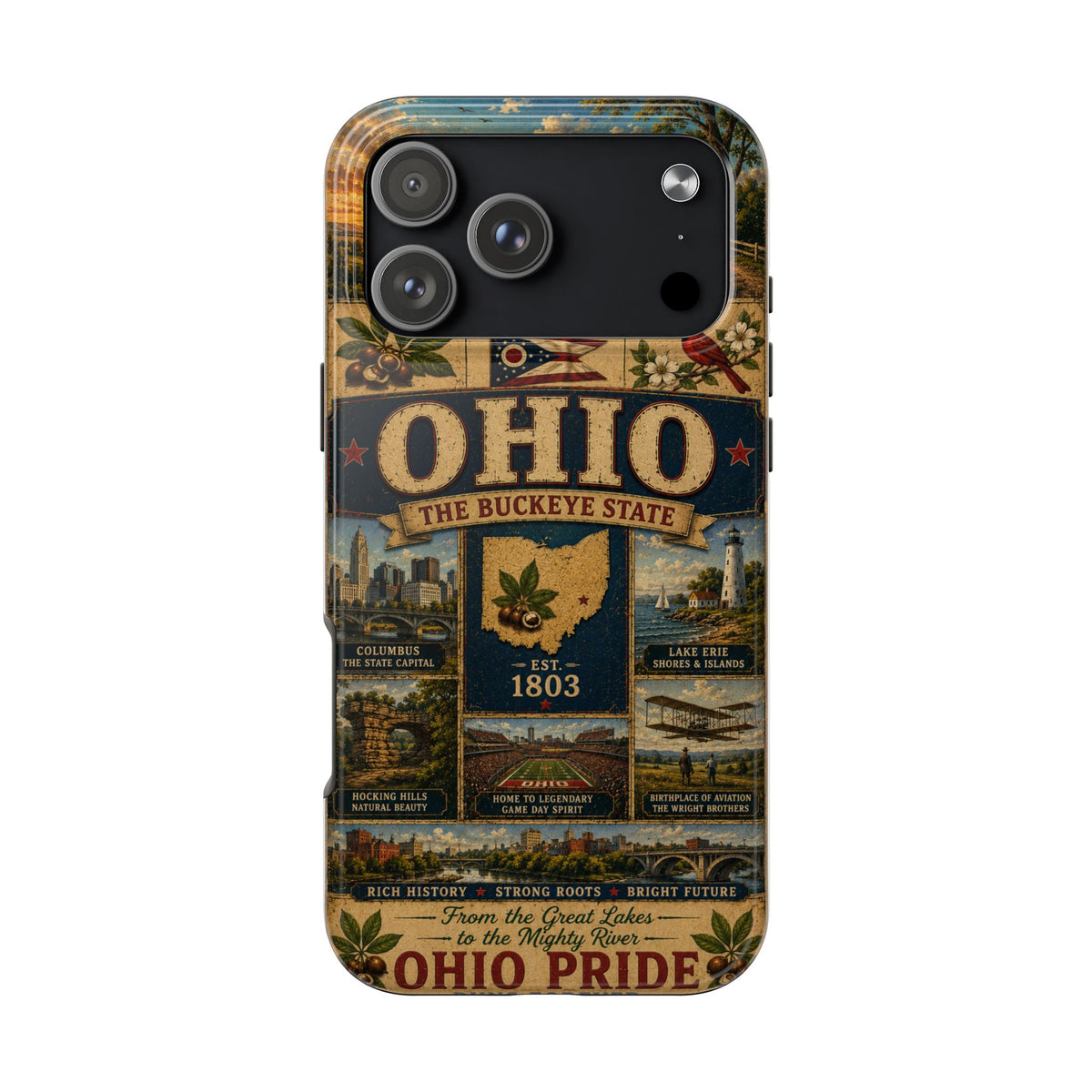 Ohio Faux Patchwork Phone Case Buckeye State Vintage Travel Poster Retro State Pride Cover Est 1803 for iPhone & Samsung