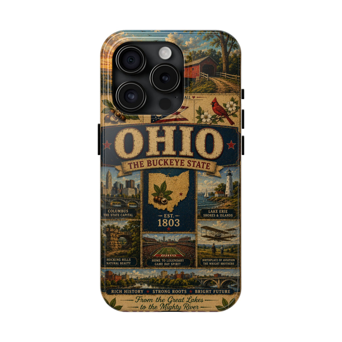 Ohio Faux Patchwork Phone Case Buckeye State Vintage Travel Poster Retro State Pride Cover Est 1803 for iPhone & Samsung