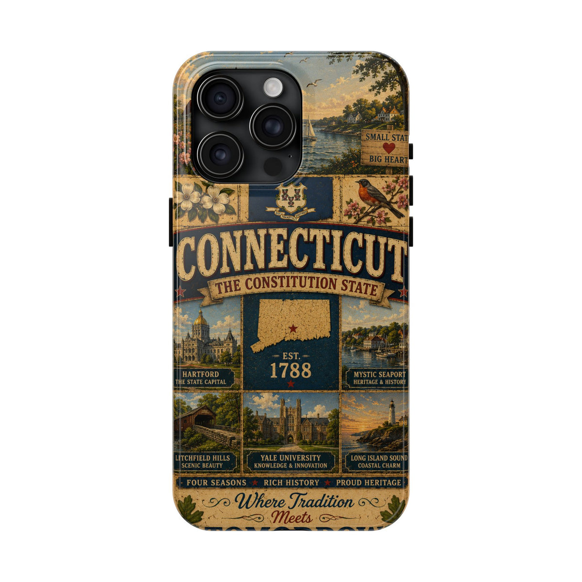 Connecticut Constitution State Faux Patchwork Phone Case Vintage Travel Poster Pride Cover