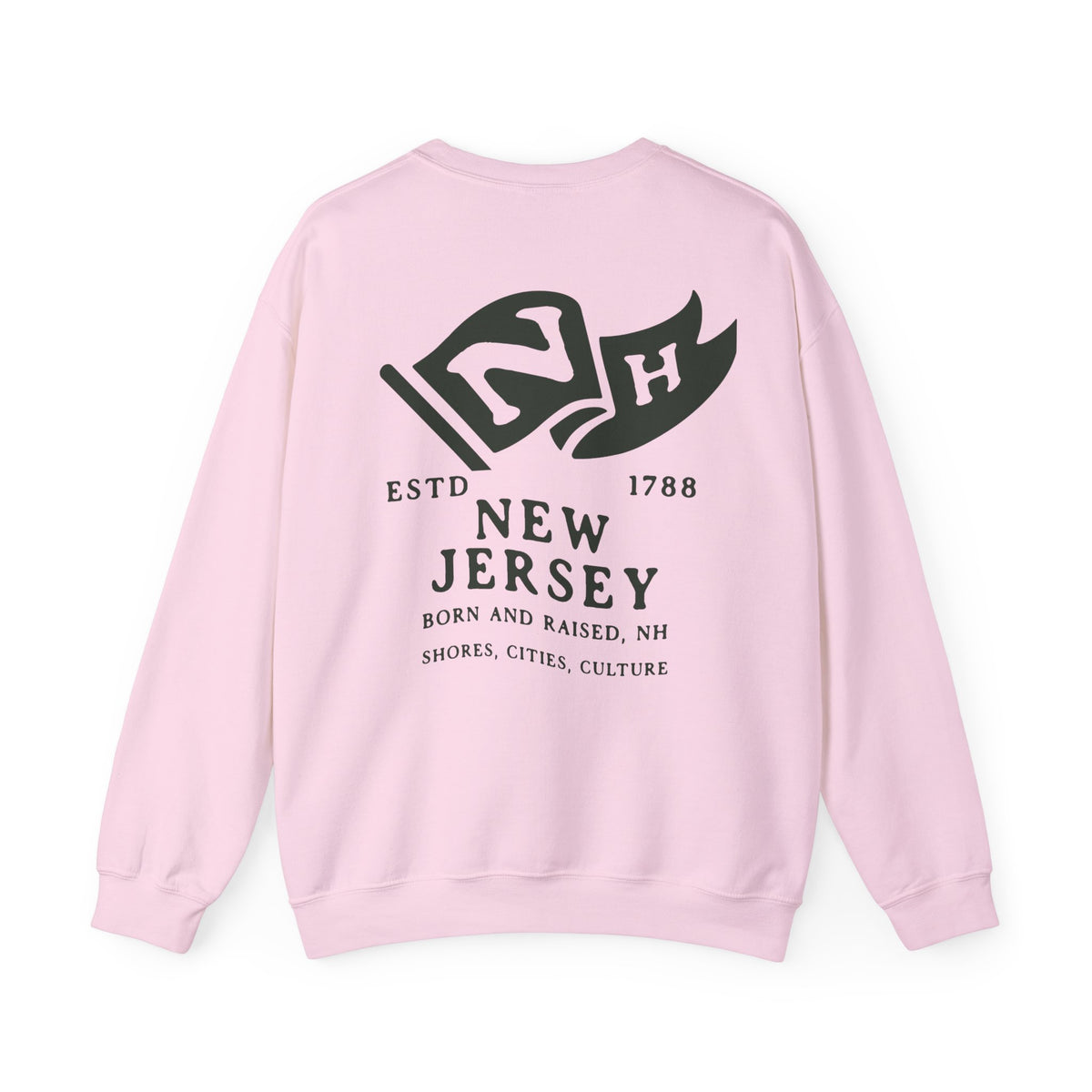 New Mexico State Born and Raised Sweatshirt - Land of Enchantment Pride Design