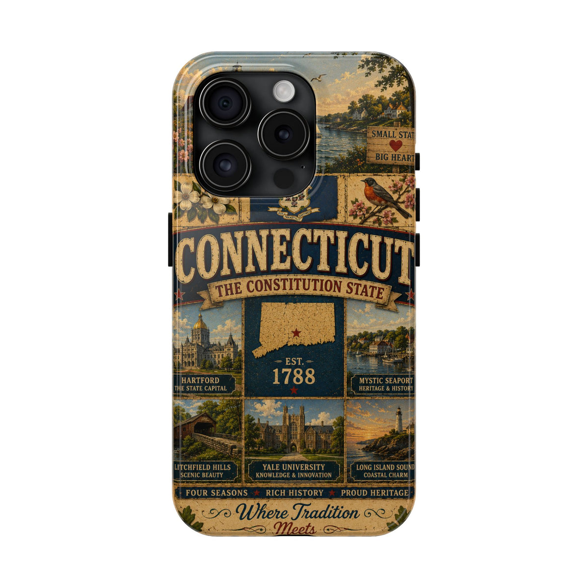 Connecticut Constitution State Faux Patchwork Phone Case Vintage Travel Poster Pride Cover