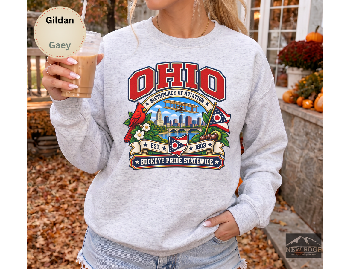 Ohio Aviation Heritage Sweatshirt, Vintage Buckeye State Pride Gildan 18000, Wright Flyer Columbus Skyline Cardinal
