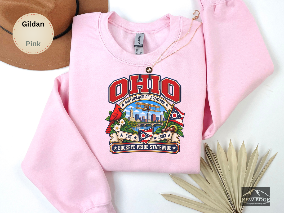 Ohio Aviation Heritage Sweatshirt, Vintage Buckeye State Pride Gildan 18000, Wright Flyer Columbus Skyline Cardinal