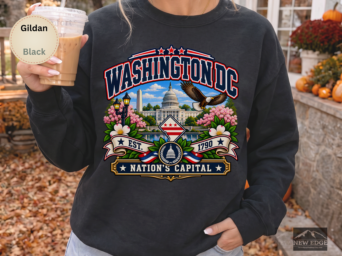 Washington DC Sweatshirt, Nations Capital Patriotic Landmark Gildan 18000 Crewneck, Vintage DC Pride