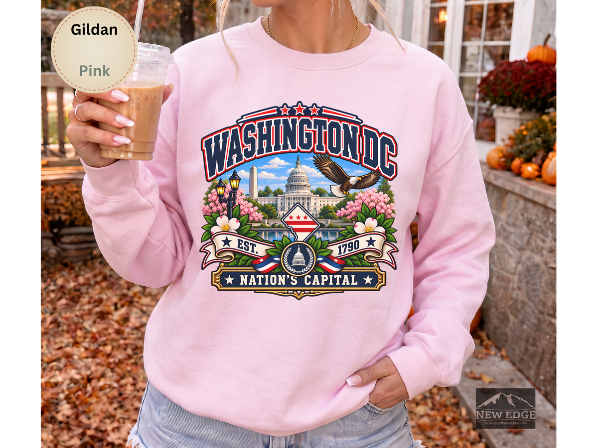 Washington DC Sweatshirt, Nations Capital Patriotic Landmark Gildan 18000 Crewneck, Vintage DC Pride