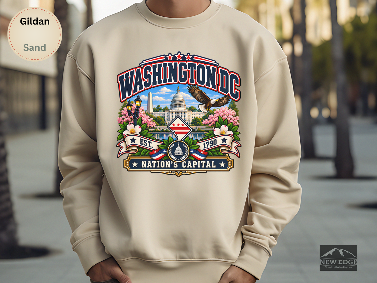 Washington DC Sweatshirt, Nations Capital Patriotic Landmark Gildan 18000 Crewneck, Vintage DC Pride