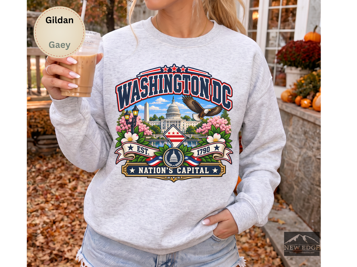 Washington DC Sweatshirt, Nations Capital Patriotic Landmark Gildan 18000 Crewneck, Vintage DC Pride