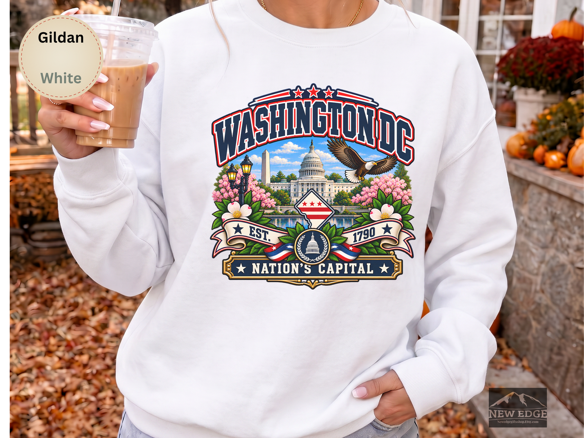 Washington DC Sweatshirt, Nations Capital Patriotic Landmark Gildan 18000 Crewneck, Vintage DC Pride