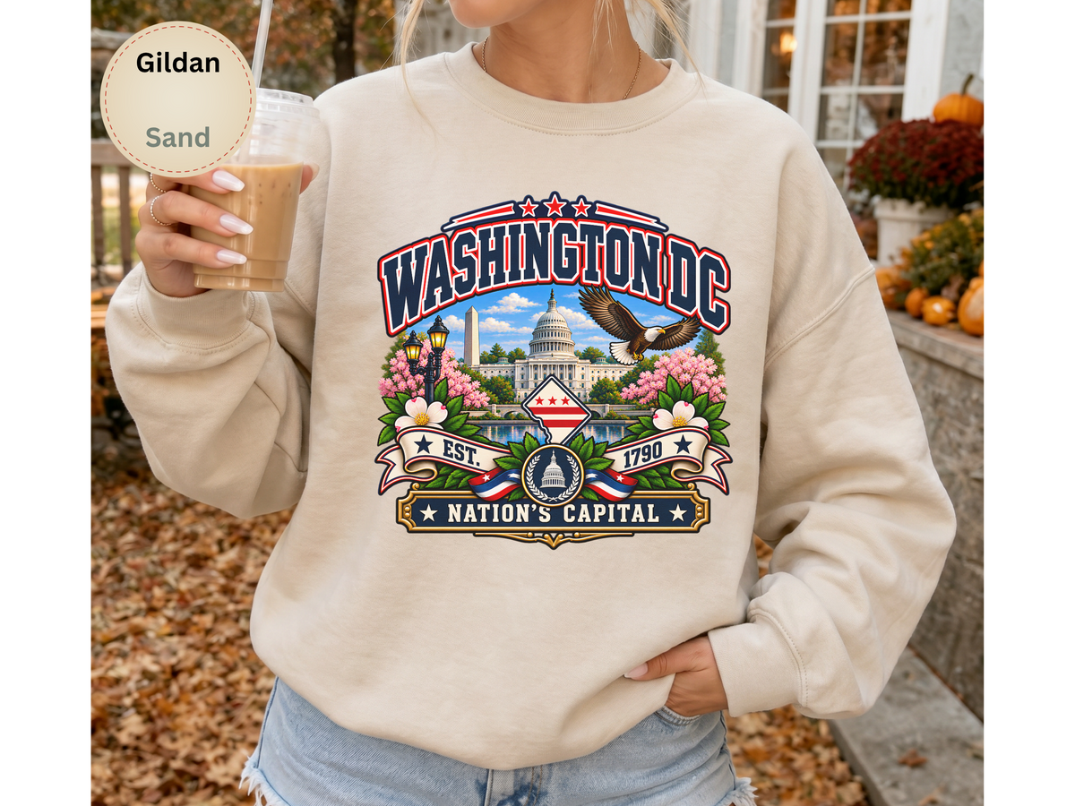 Washington DC Sweatshirt, Nations Capital Patriotic Landmark Gildan 18000 Crewneck, Vintage DC Pride