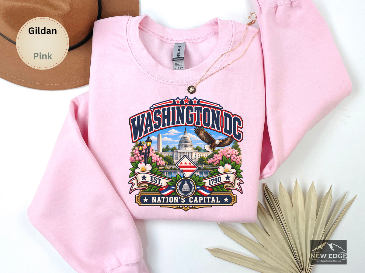Washington DC Sweatshirt, Nations Capital Patriotic Landmark Gildan 18000 Crewneck, Vintage DC Pride
