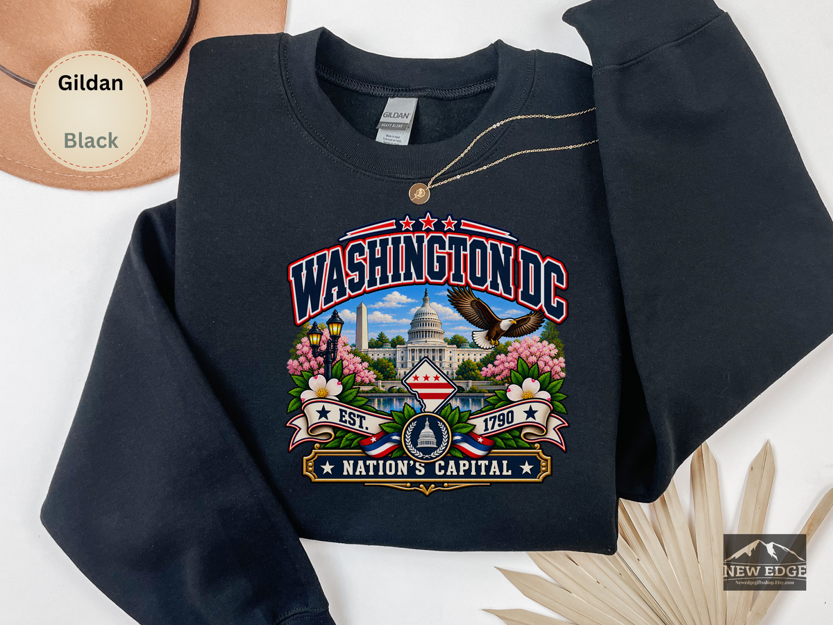 Washington DC Sweatshirt, Nations Capital Patriotic Landmark Gildan 18000 Crewneck, Vintage DC Pride