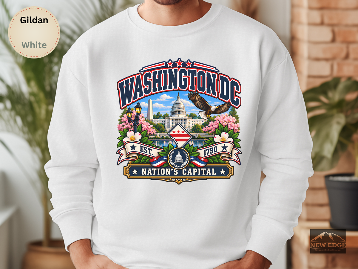Washington DC Sweatshirt, Nations Capital Patriotic Landmark Gildan 18000 Crewneck, Vintage DC Pride