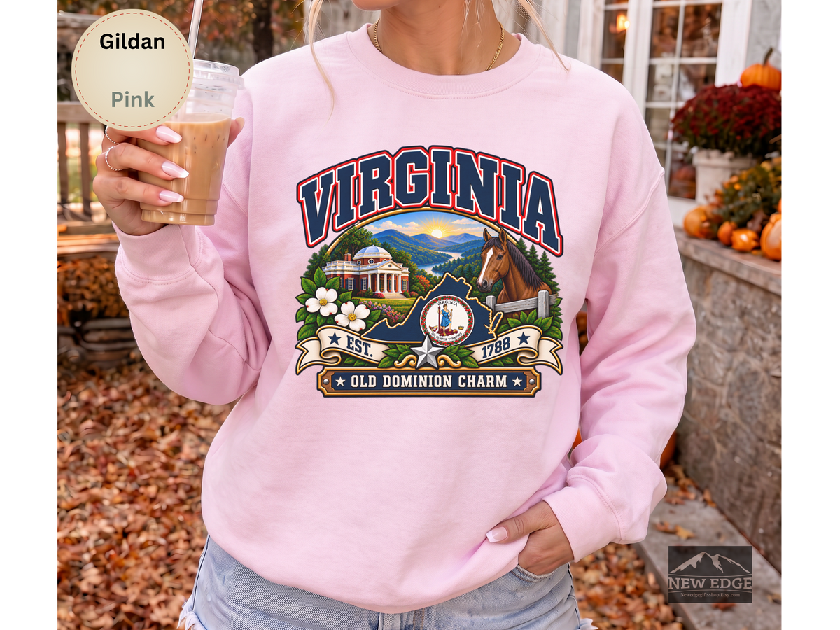 Virginia Old Dominion Sweatshirt, Vintage State Pride Gildan 18000 Crewneck, Scenic Virginia Heritage Gift