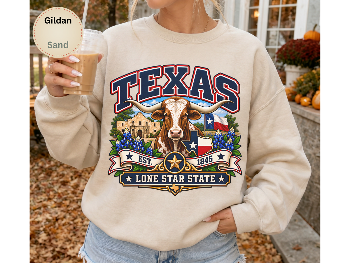 Texas Lone Star State Sweatshirt, Longhorn Alamo Bluebonnet Gildan 18000 Crewneck, Vintage Texas Pride