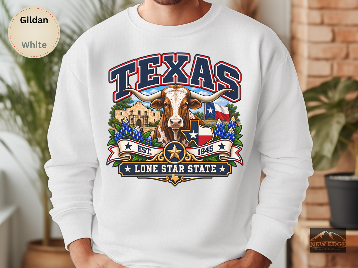 Texas Lone Star State Sweatshirt, Longhorn Alamo Bluebonnet Gildan 18000 Crewneck, Vintage Texas Pride