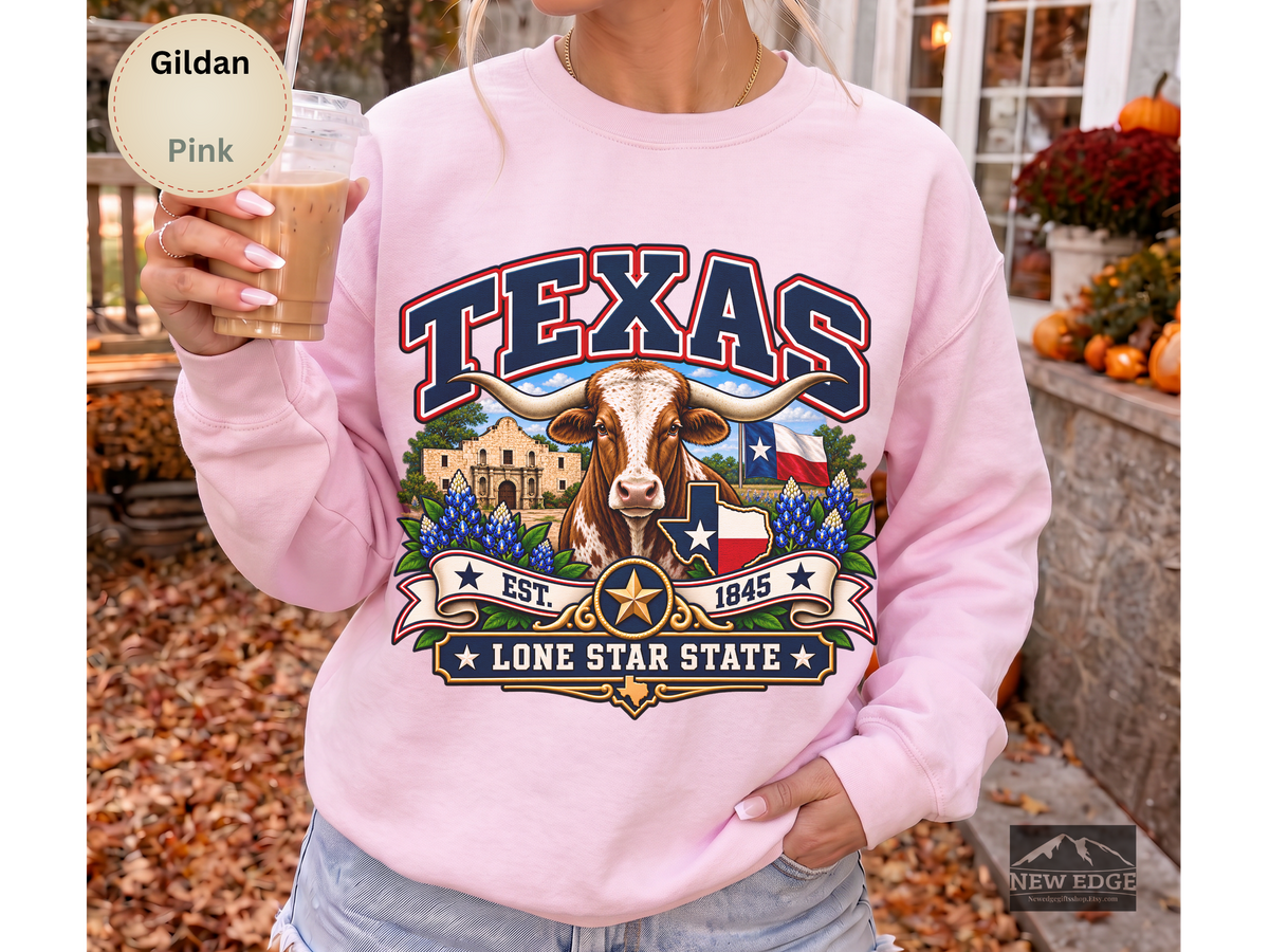 Texas Lone Star State Sweatshirt, Longhorn Alamo Bluebonnet Gildan 18000 Crewneck, Vintage Texas Pride