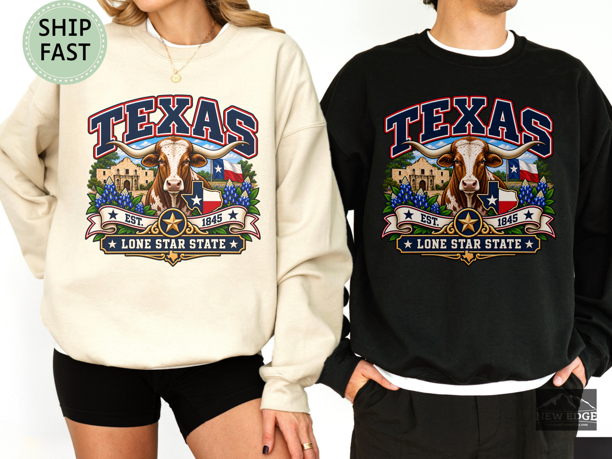 Texas Lone Star State Sweatshirt, Longhorn Alamo Bluebonnet Gildan 18000 Crewneck, Vintage Texas Pride