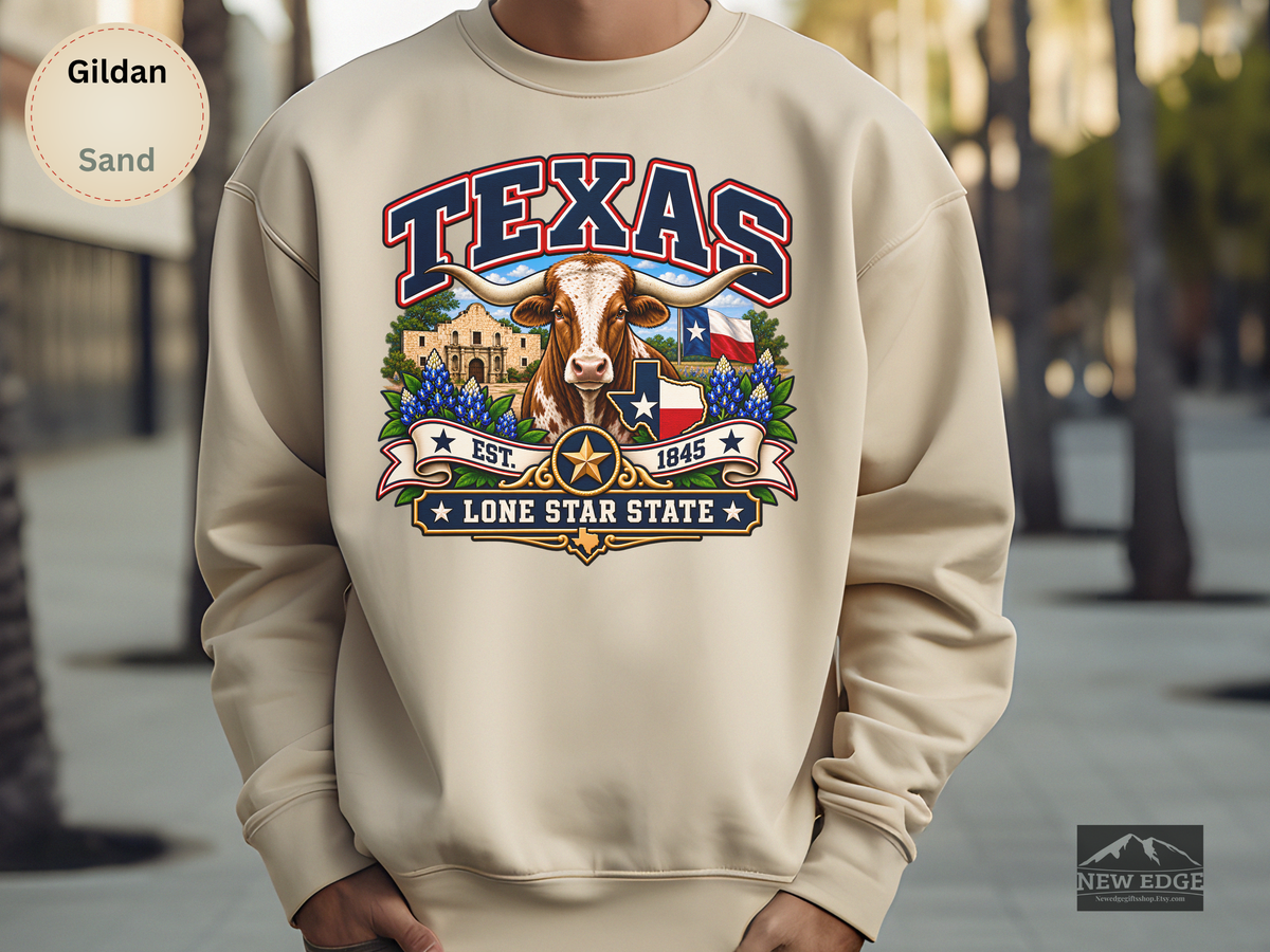 Texas Lone Star State Sweatshirt, Longhorn Alamo Bluebonnet Gildan 18000 Crewneck, Vintage Texas Pride
