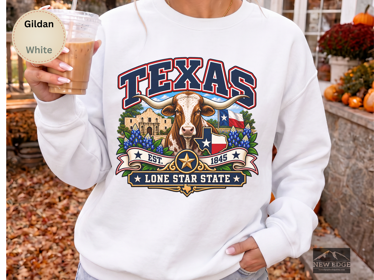 Texas Lone Star State Sweatshirt, Longhorn Alamo Bluebonnet Gildan 18000 Crewneck, Vintage Texas Pride