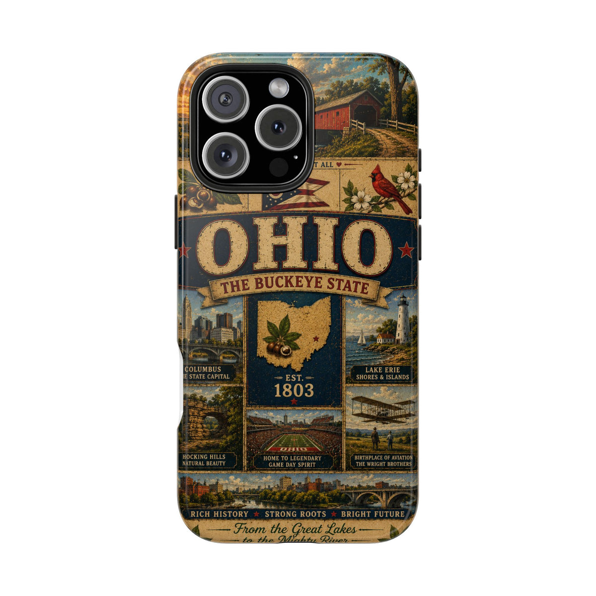 Ohio Faux Patchwork Phone Case Buckeye State Vintage Travel Poster Retro State Pride Cover Est 1803 for iPhone & Samsung