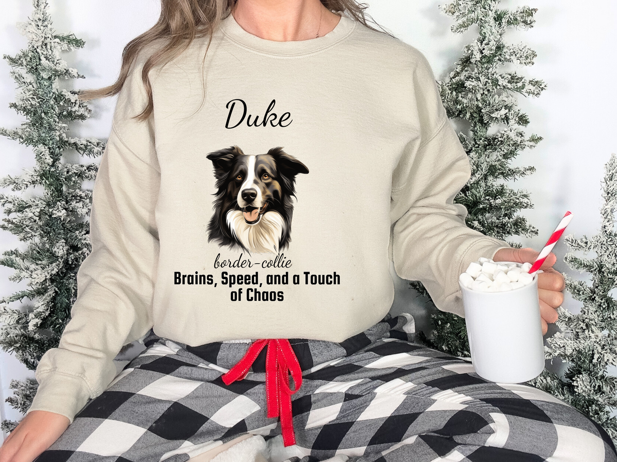Personalized Border Collie Sweatshirt – “Brains, Speed, and a Touch of Chaos” | Custom Unisex Christmas Gift, Funny Dog Lover Sweatshirt, Pet Gift for Him or Her