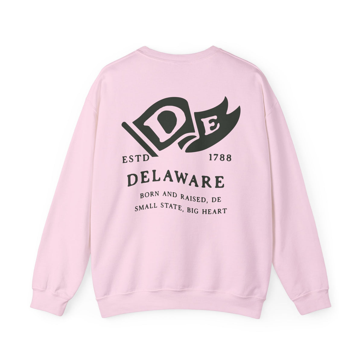 Delaware State Born and Raised Sweatshirt - First State Pride Design
