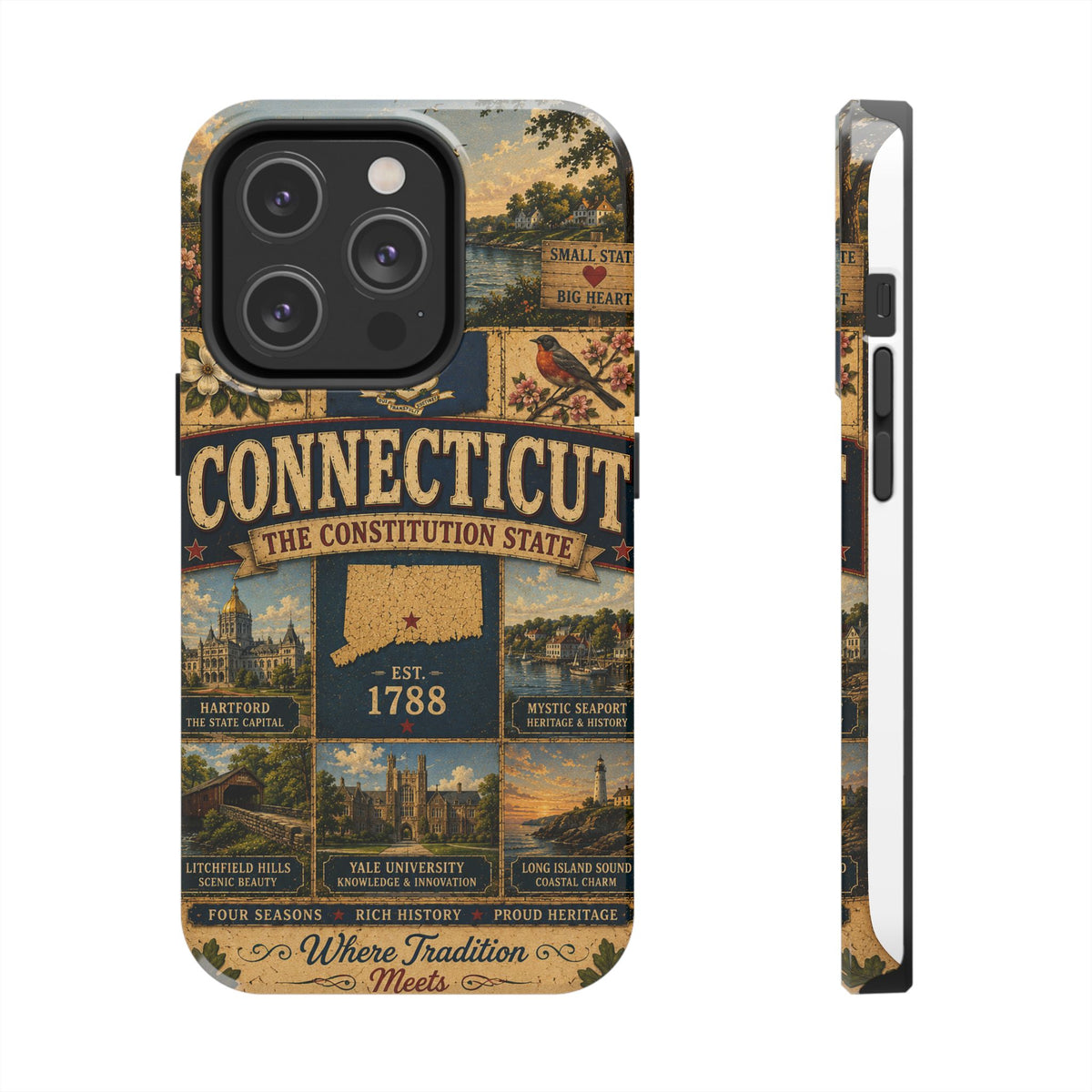 Connecticut Constitution State Faux Patchwork Phone Case Vintage Travel Poster Pride Cover