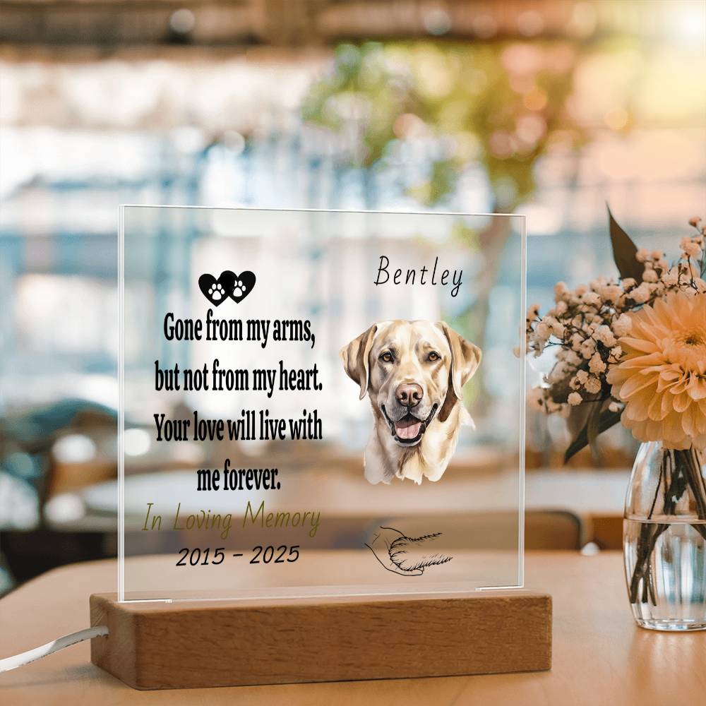 Custom Pet Memorial Plaque | Personalized Acrylic Photo Keepsake | Dog & Cat Loss Gift | Forever in My Heart Remembrance Decor