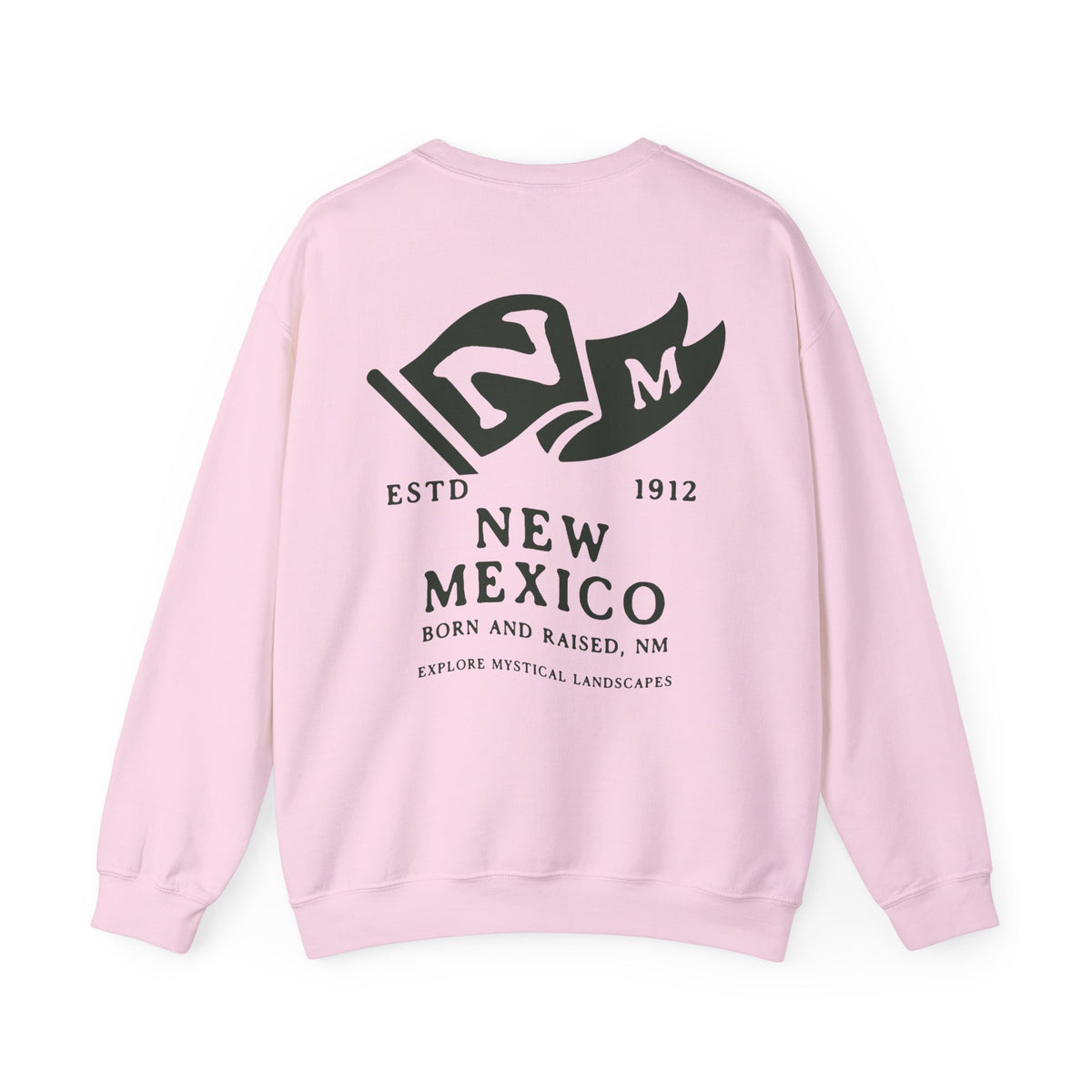 New Mexico State Born and Raised Sweatshirt - Land of Enchantment Pride Design