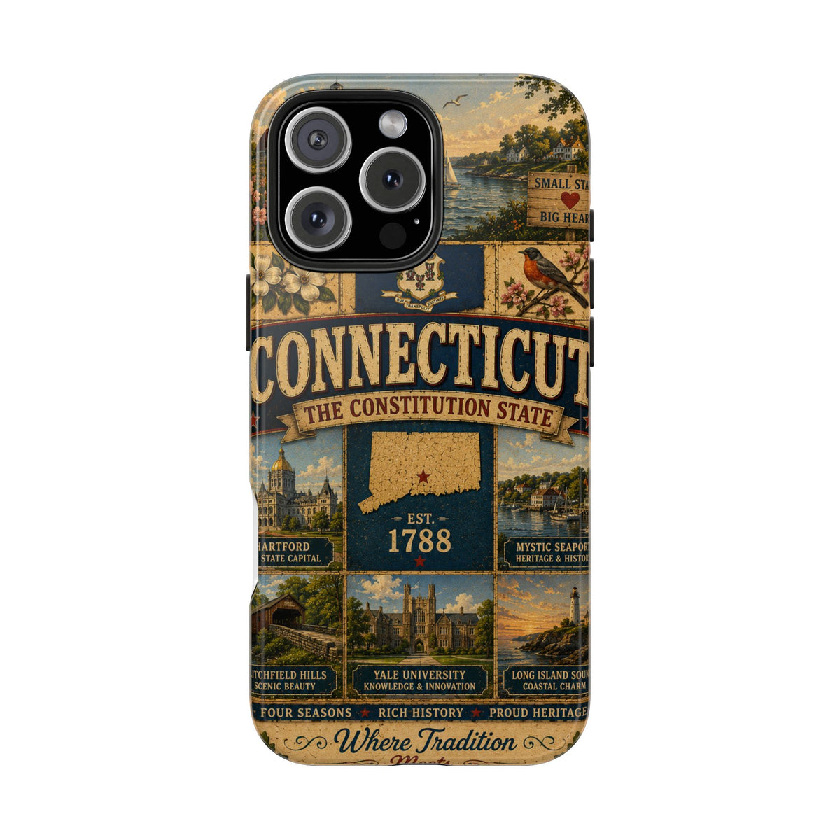 Connecticut Constitution State Faux Patchwork Phone Case Vintage Travel Poster Pride Cover
