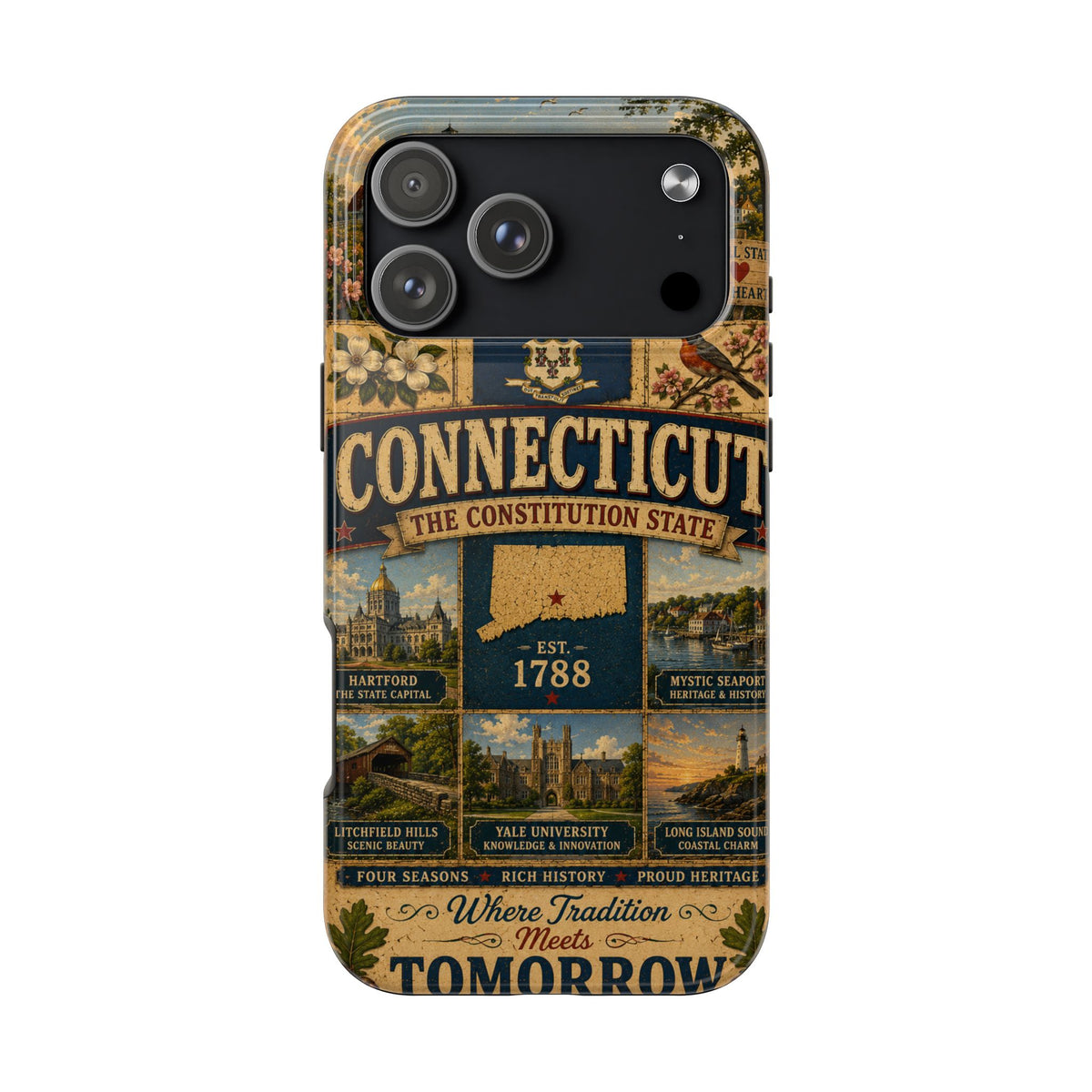 Connecticut Constitution State Faux Patchwork Phone Case Vintage Travel Poster Pride Cover