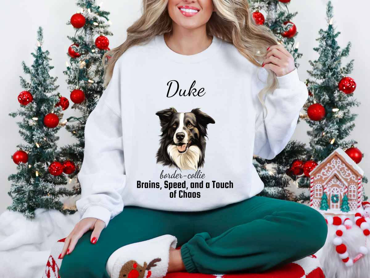 Personalized Border Collie Sweatshirt – “Brains, Speed, and a Touch of Chaos” | Custom Unisex Christmas Gift, Funny Dog Lover Sweatshirt, Pet Gift for Him or Her