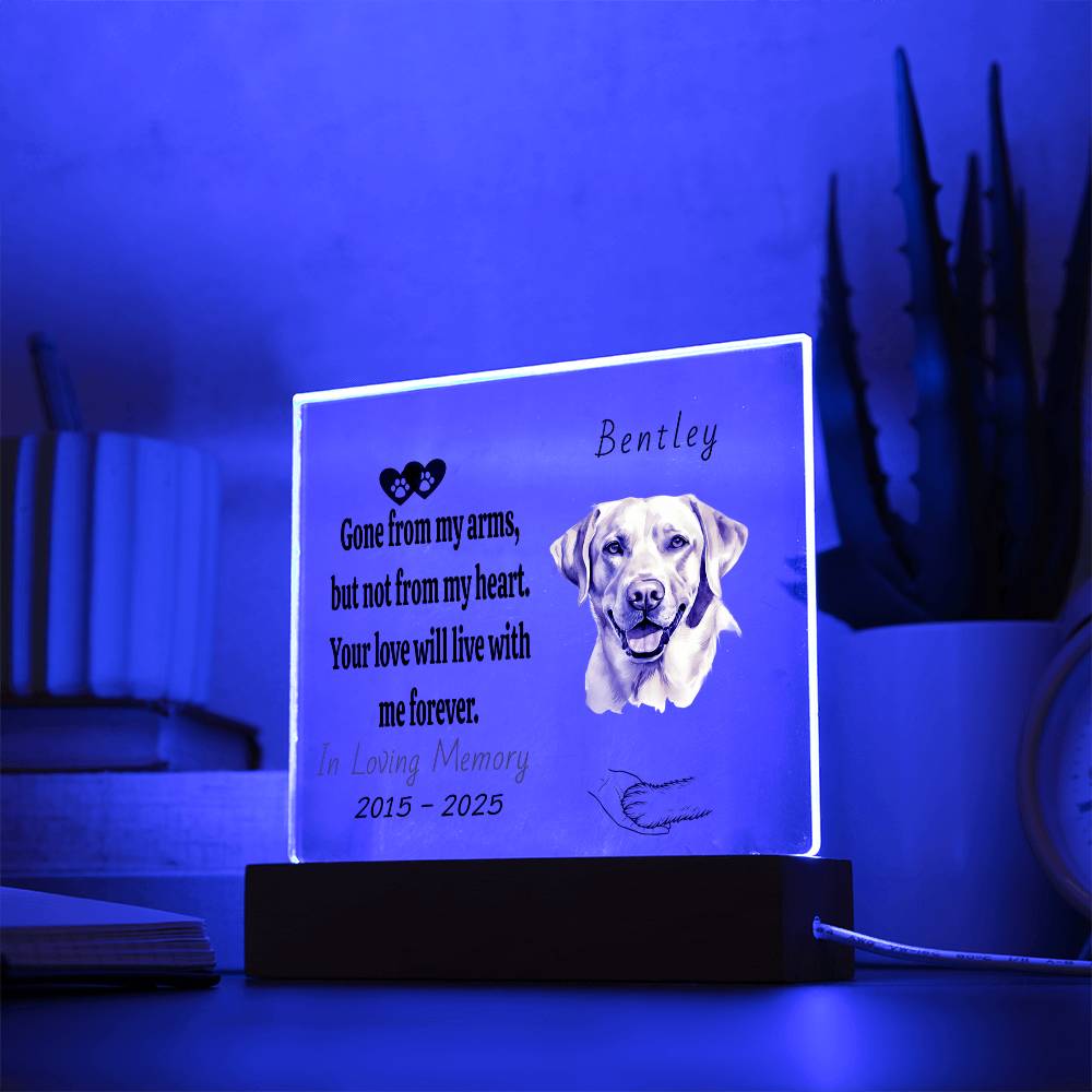 Custom Pet Memorial Plaque | Personalized Acrylic Photo Keepsake | Dog & Cat Loss Gift | Forever in My Heart Remembrance Decor