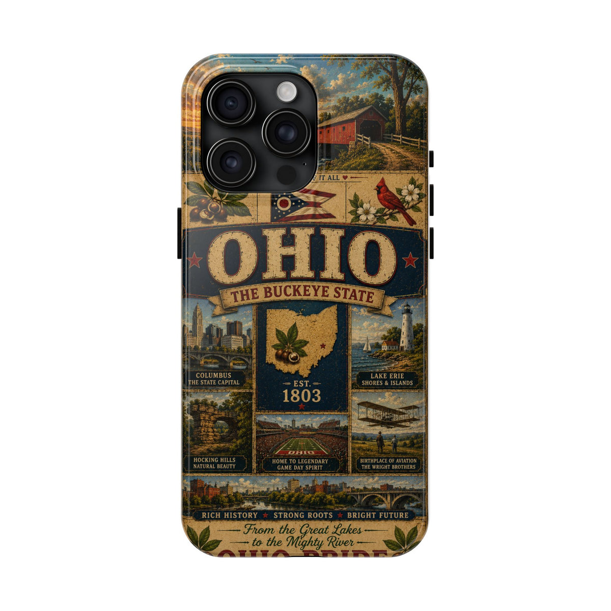 Ohio Faux Patchwork Phone Case Buckeye State Vintage Travel Poster Retro State Pride Cover Est 1803 for iPhone & Samsung