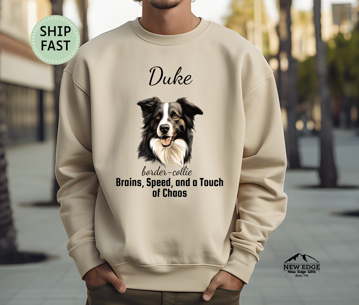 Personalized Border Collie Sweatshirt – “Brains, Speed, and a Touch of Chaos” | Custom Unisex Christmas Gift, Funny Dog Lover Sweatshirt, Pet Gift for Him or Her