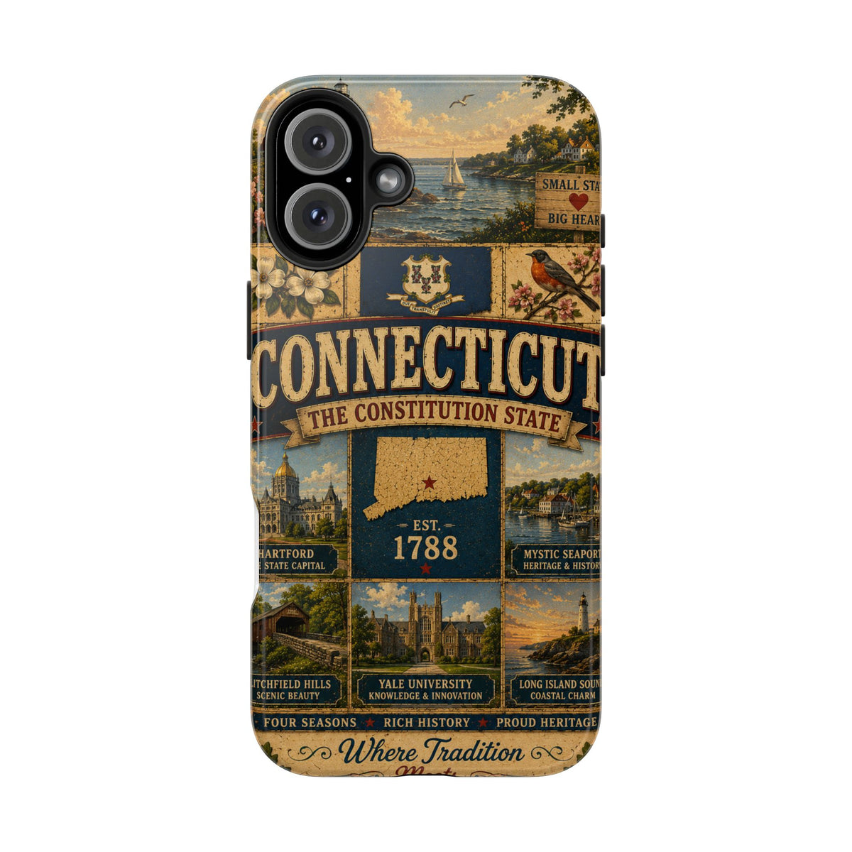 Connecticut Constitution State Faux Patchwork Phone Case Vintage Travel Poster Pride Cover