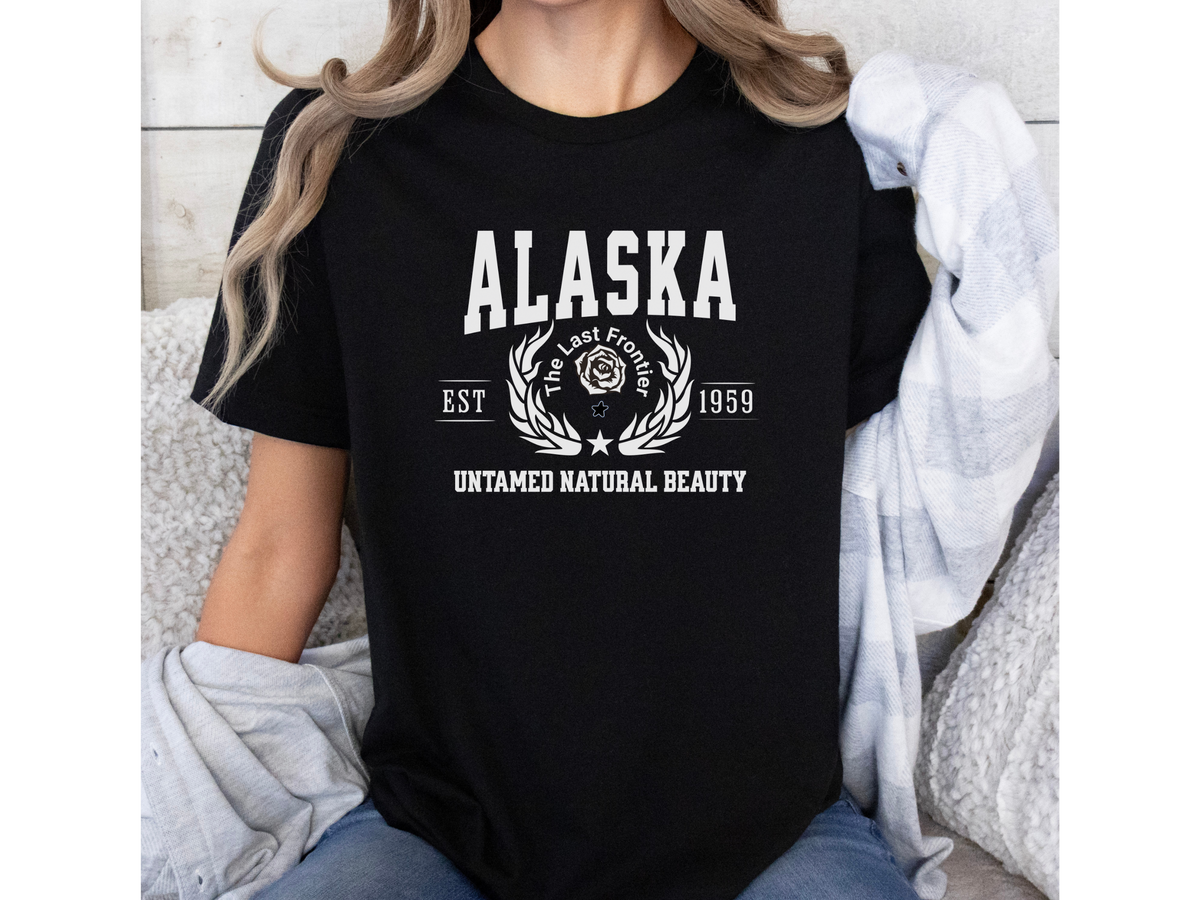 Alaska Unisex Collegiate State T Shirt Vintage College Style Alaska Graphic Tee Northern State Pride Shirt