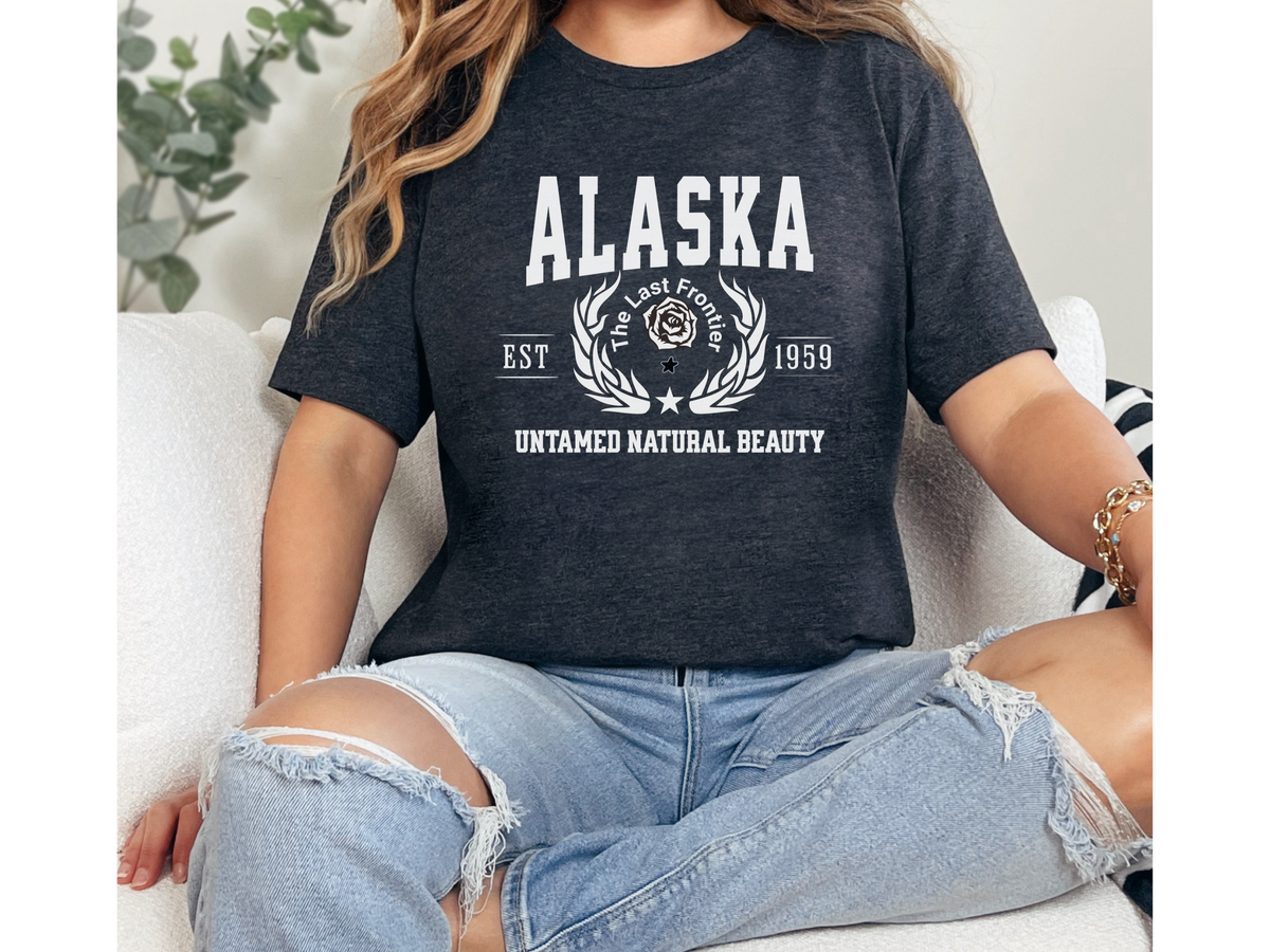 Alaska Unisex Collegiate State T Shirt Vintage College Style Alaska Graphic Tee Northern State Pride Shirt