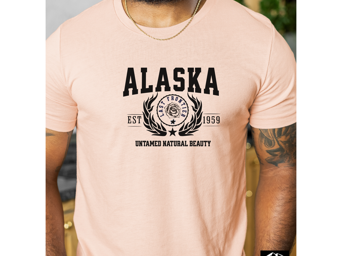 Alaska Unisex Collegiate State T Shirt Vintage College Style Alaska Graphic Tee Northern State Pride Shirt
