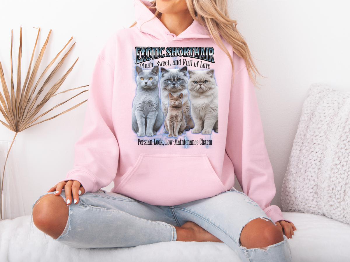 Exotic Shorthair Cat Hoodie – Unisex Bootleg Collage Sweatshirt | Exotic Shorthair Cat
