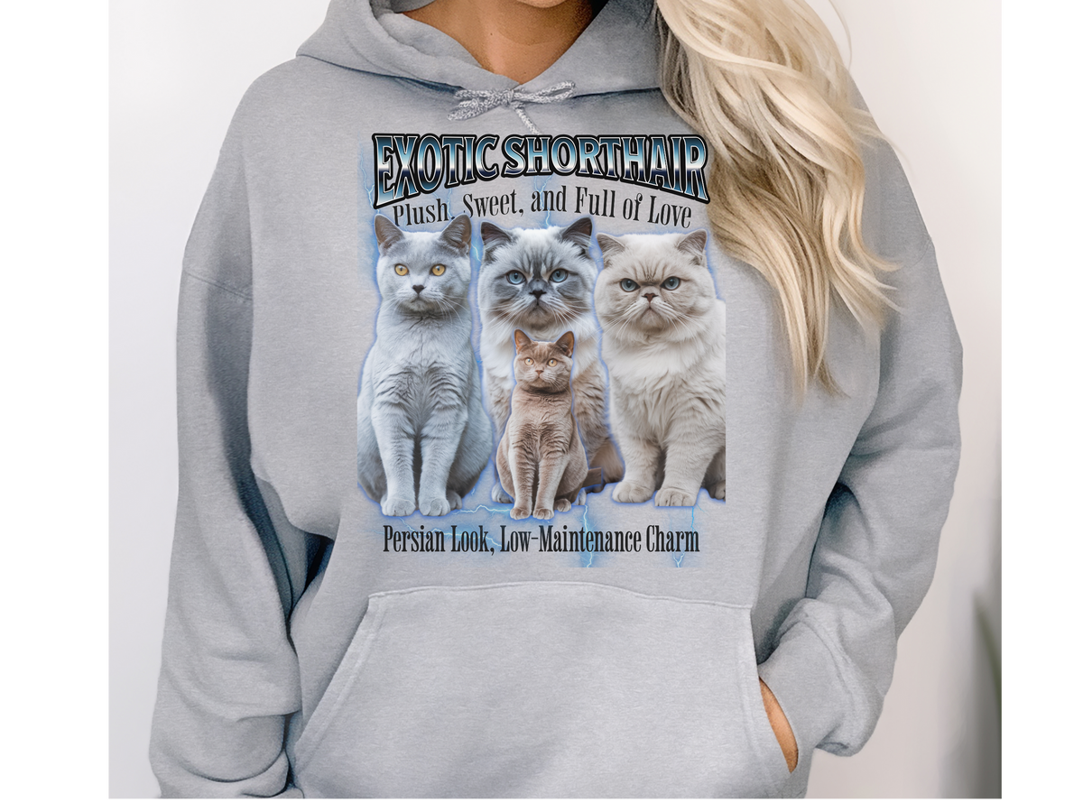 Exotic Shorthair Cat Hoodie – Unisex Bootleg Collage Sweatshirt | Exotic Shorthair Cat