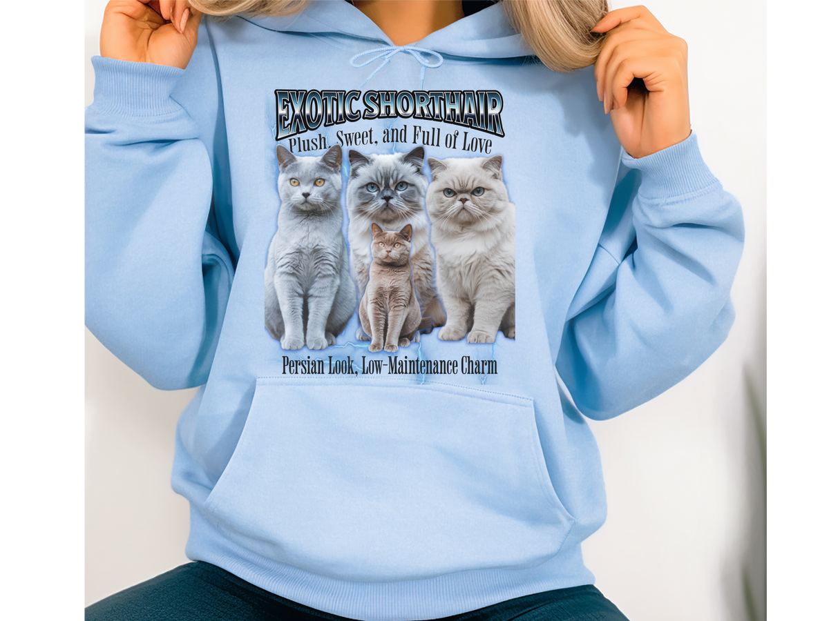Exotic Shorthair Cat Hoodie – Unisex Bootleg Collage Sweatshirt | Exotic Shorthair Cat