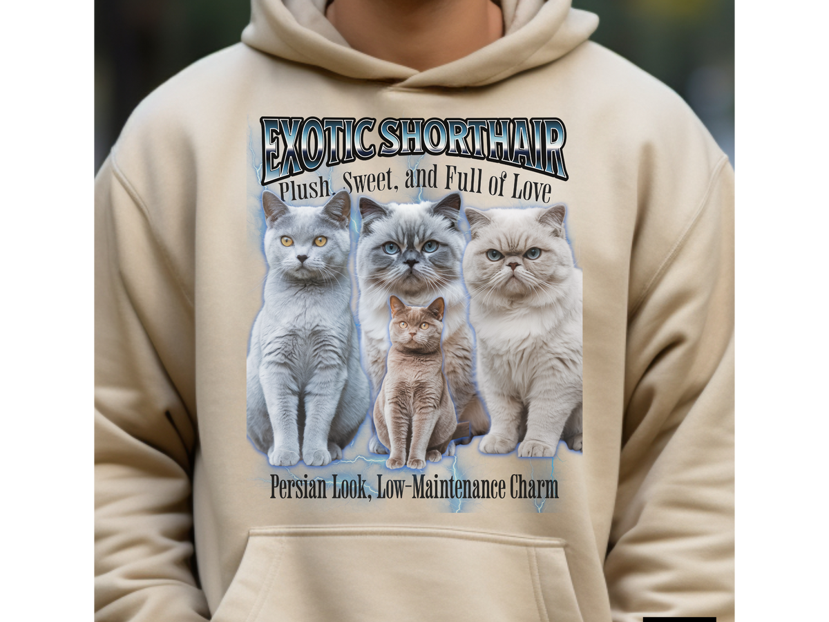 Exotic Shorthair Cat Hoodie – Unisex Bootleg Collage Sweatshirt | Exotic Shorthair Cat