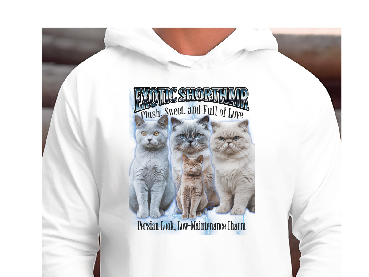 Exotic Shorthair Cat Hoodie – Unisex Bootleg Collage Sweatshirt | Exotic Shorthair Cat
