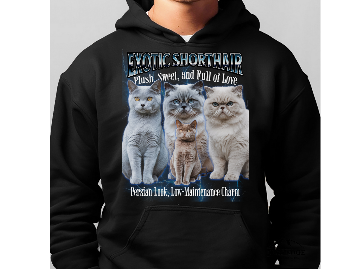 Exotic Shorthair Cat Hoodie – Unisex Bootleg Collage Sweatshirt | Exotic Shorthair Cat