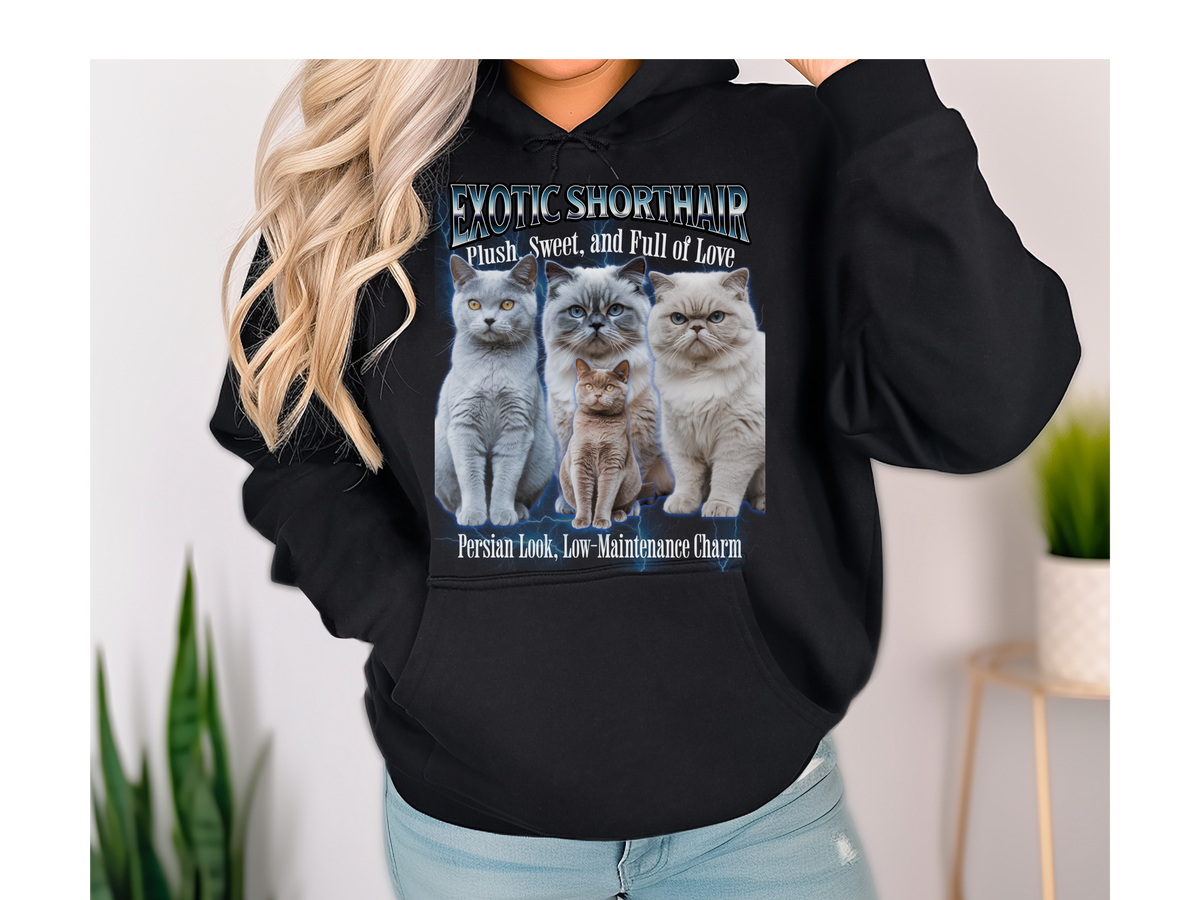 Exotic Shorthair Cat Hoodie – Unisex Bootleg Collage Sweatshirt | Exotic Shorthair Cat
