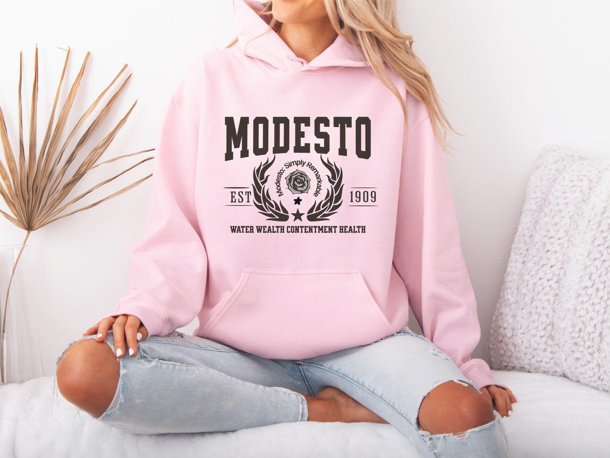 Modesto California Legacy Hoodie – "Water Wealth Contentment Health" Unisex Sweatshirt