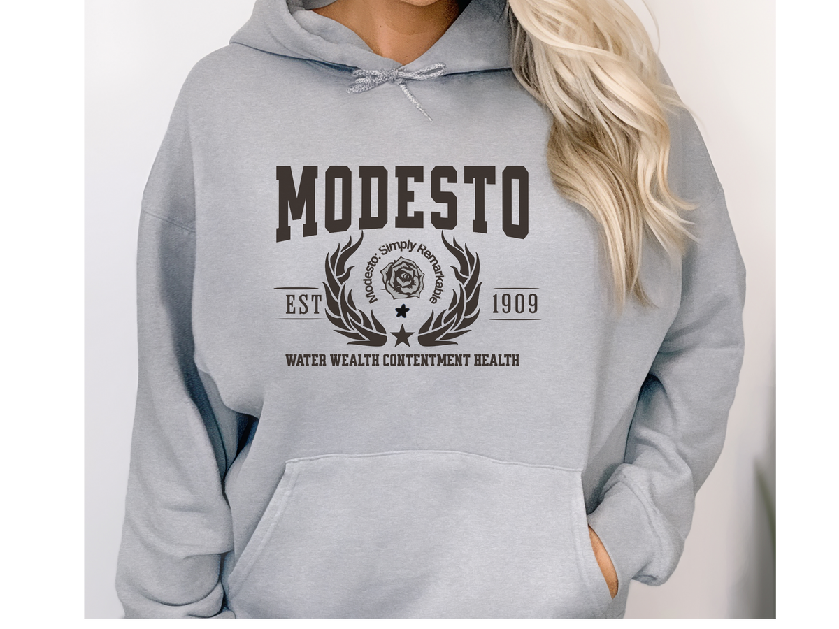 Modesto California Legacy Hoodie – "Water Wealth Contentment Health" Unisex Sweatshirt