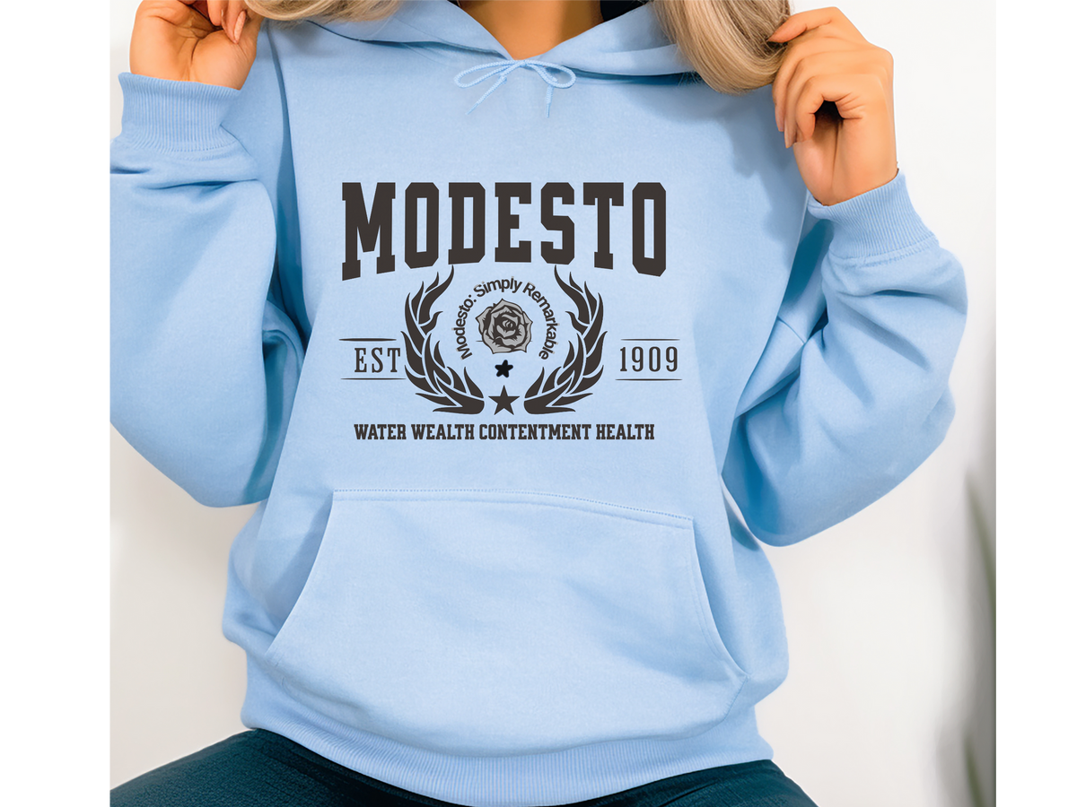 Modesto California Legacy Hoodie – "Water Wealth Contentment Health" Unisex Sweatshirt